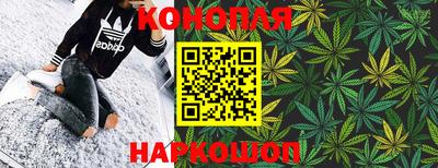 дурь Камышлов