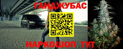 дурь Камышлов