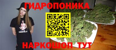 mdpv Кандалакша