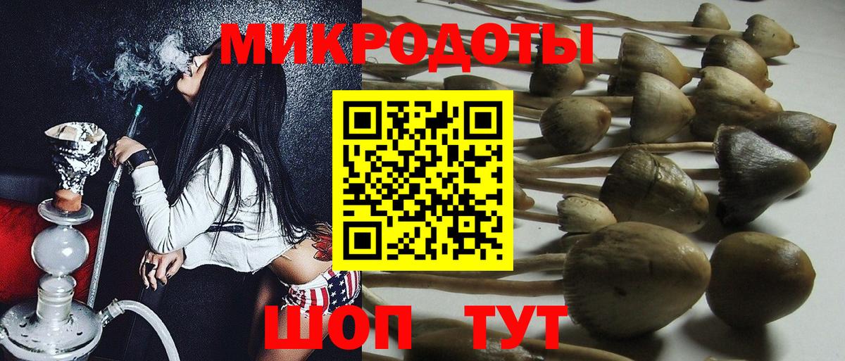 Галлюциногенные грибы Cubensis  Вход с VPN  Псилоцибиновые грибы Psilocybe  Калуга 